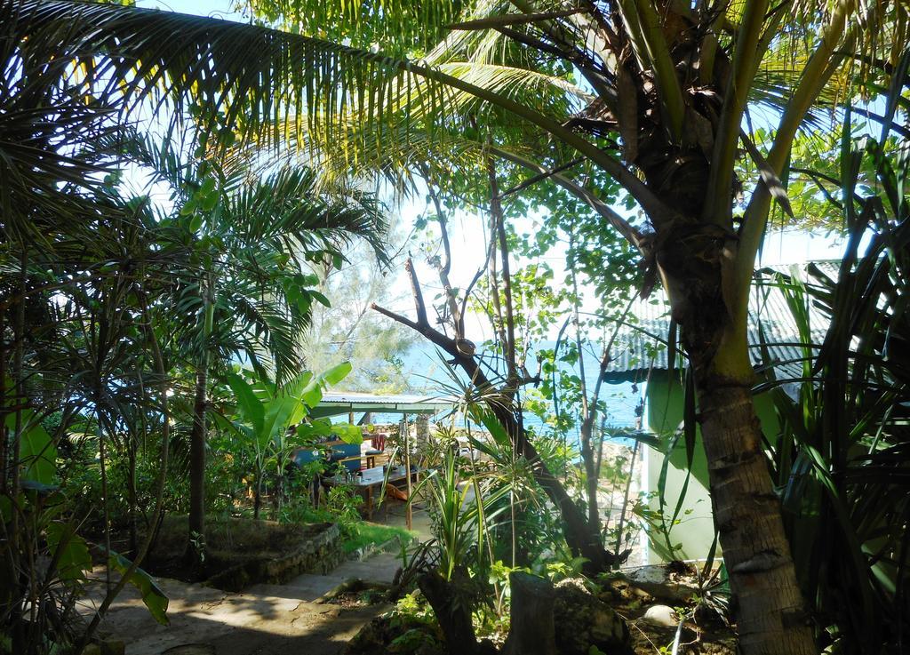 Banana Shout Resort Negril Eksteriør billede