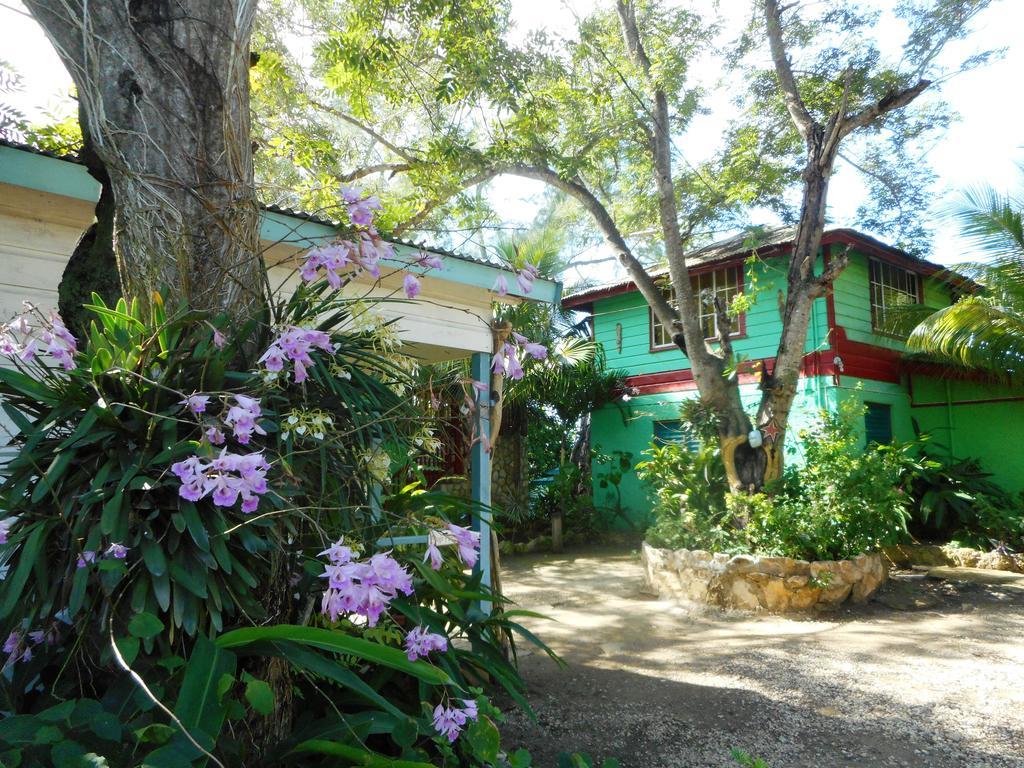 Banana Shout Resort Negril Eksteriør billede
